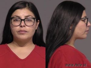 Ana Barragan Arrest Mugshot
