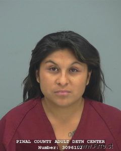 Analisa Melendez Arrest Mugshot