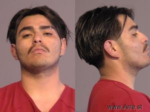 Angel Delgadillo Arrest