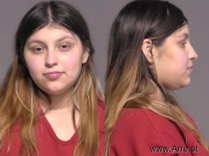 Angelica Ayala Arrest Mugshot