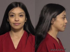 Araceli Lopez Arrest Mugshot