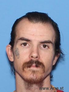 Ashley Sheley Arrest Mugshot