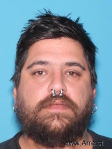 Brandon Weber Arrest Mugshot