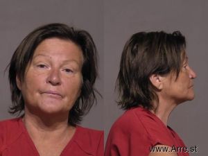 Brenda Anderson Arrest Mugshot