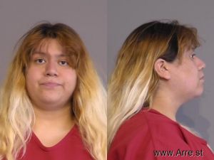 Brianna Ronquillo Arrest Mugshot