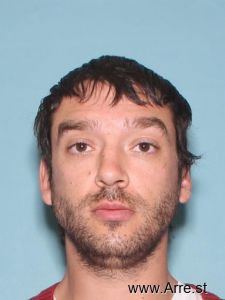 Camille Simone Arrest Mugshot