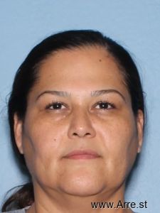 Carmen Araujo Arrest Mugshot