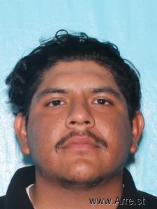 Cristian Toledo Arrest Mugshot