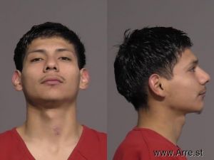 Cesar Sanchez Vega Arrest Mugshot
