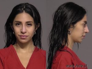 Chantal Lopez Arrest Mugshot