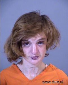 Cheyenne Stevenson Arrest Mugshot