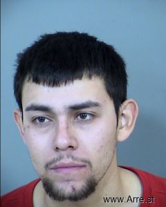 Christian Torres Lagarda Arrest Mugshot