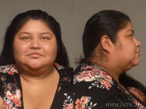 Christina Medina Arrest Mugshot