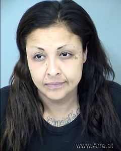 Christina Sanchez-ramirez Arrest