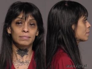 Corina Rosales Arrest Mugshot