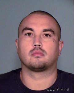 David Larsen Arrest Mugshot