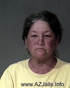 Delia Villegas          Arrest Mugshot