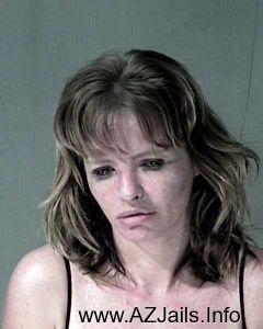 Donna Schlundt Arrest
