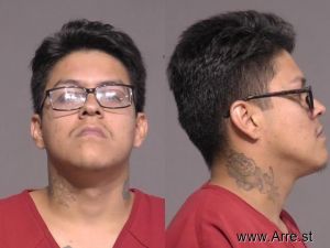 Danny Lugo Arrest Mugshot