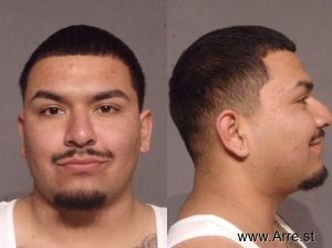 David Ruiz Arrest Mugshot