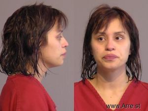 Denise Nunez Arrest Mugshot