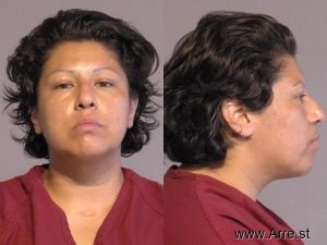 Diana Torres Arrest