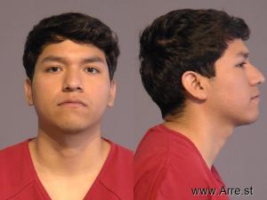 Diego Sanchez Arrest