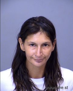 Elizabeth Romero Willmes Arrest Mugshot