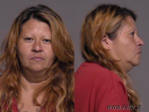Ernestina Perez Arrest Mugshot