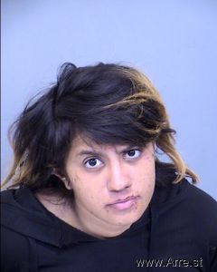 Evanessa Lopez Arrest