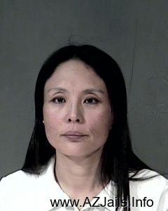 Fengjuan Lu                Arrest Mugshot