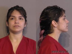 Flor Lopez-mancillas Arrest Mugshot