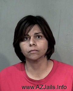Guadalupe Vizcarra Arrest