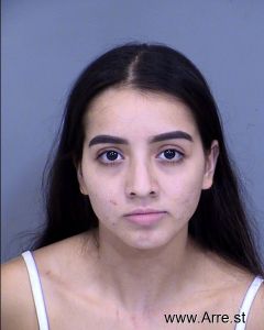 Gabriela Martinez Leon Arrest