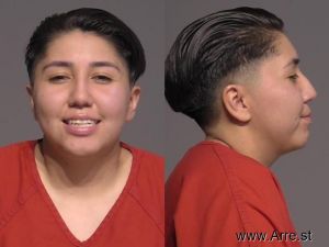 Gabrielle Solorio Arrest Mugshot