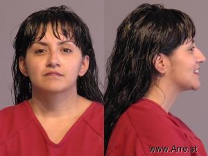 Joanna Amador Arrest Mugshot