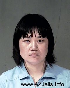 Liping Zhang             Arrest Mugshot