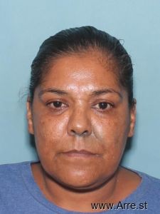 Lisa Felix Arrest Mugshot