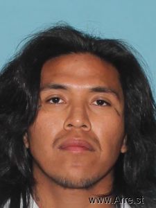 Lucas Henry Arrest Mugshot