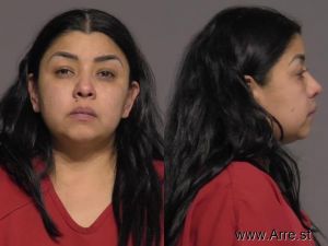 Lizeth Morales Arrest Mugshot