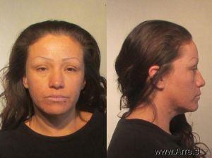 Lourdes Ulloa Arrest Mugshot