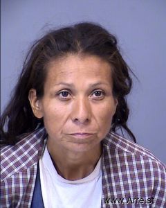 Lydia Romero Arrest