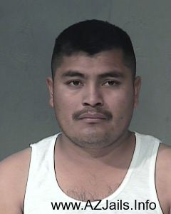 Marcelino Vasquez           Arrest