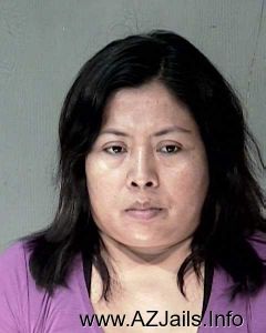 Maria Guerrero Amigon Arrest Mugshot