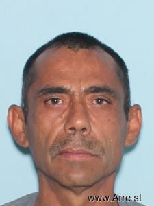 Marco Guerrero Arrest Mugshot