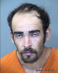 Matthew Mickelson Arrest Mugshot