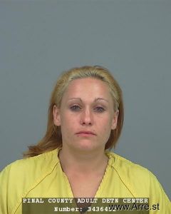 Megan Ansell Arrest Mugshot