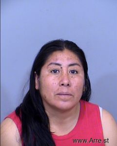 Merida Valdiviezo Cruz Arrest