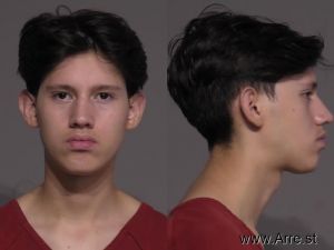 Michael Andrade Arrest Mugshot