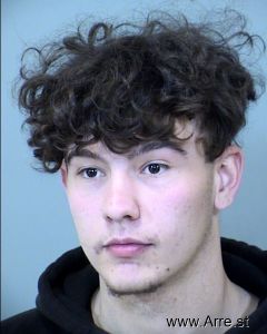 Michael Gelazin Arrest Mugshot